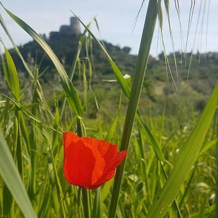 شقة La Casina Di Nonna Giulia Castiglione dʼOrcia المظهر الخارجي الصورة