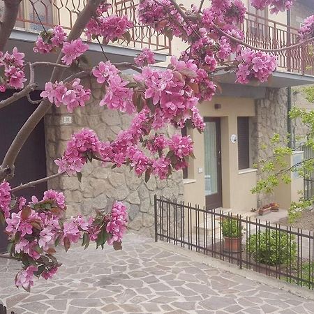 شقة La Casina Di Nonna Giulia Castiglione dʼOrcia المظهر الخارجي الصورة