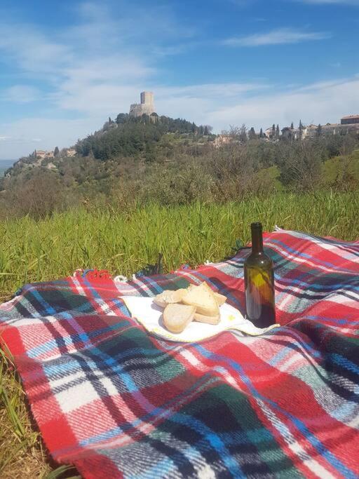 شقة La Casina Di Nonna Giulia Castiglione dʼOrcia المظهر الخارجي الصورة