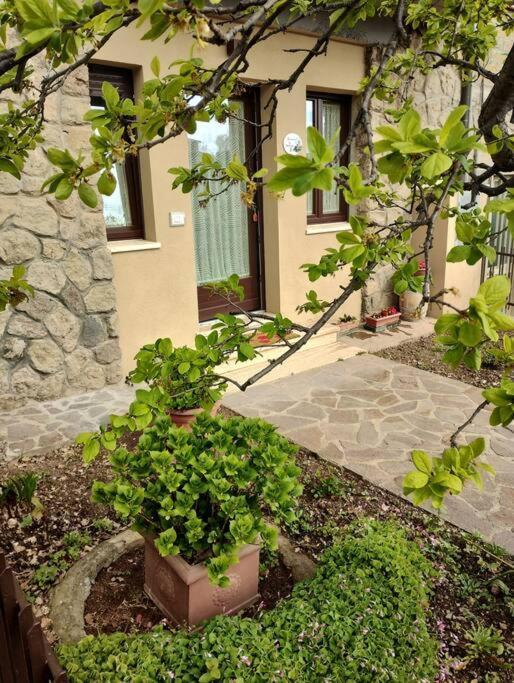 شقة La Casina Di Nonna Giulia Castiglione dʼOrcia المظهر الخارجي الصورة