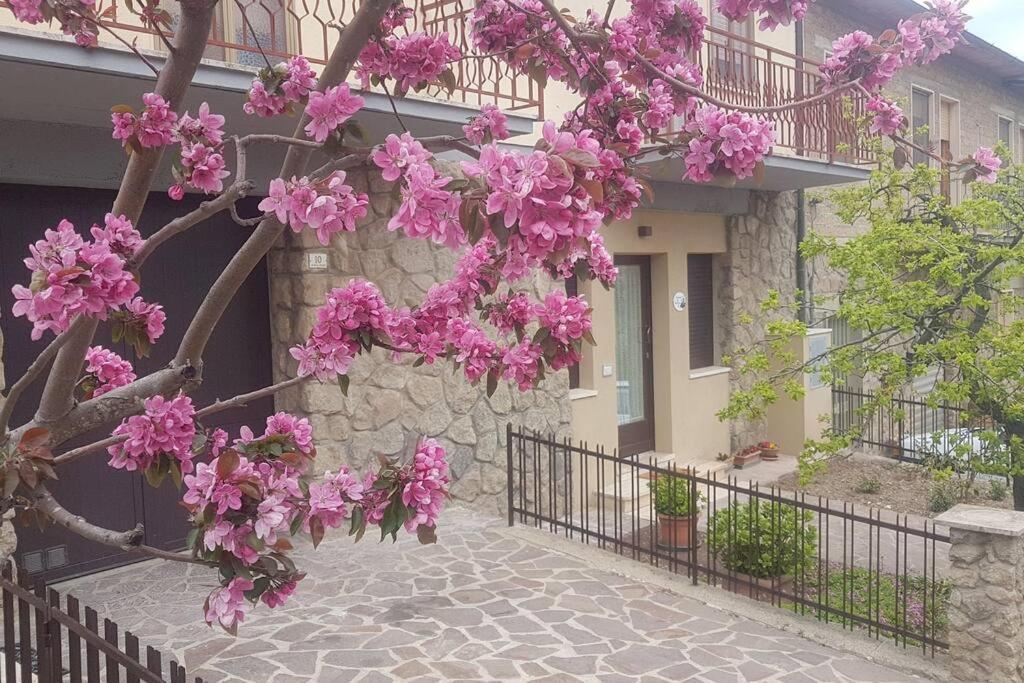 شقة La Casina Di Nonna Giulia Castiglione dʼOrcia المظهر الخارجي الصورة
